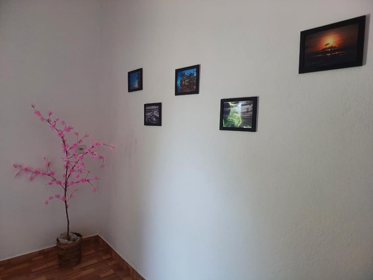 Casa Jubarte Villa คูมูรูชัทเชบา ภายนอก รูปภาพ